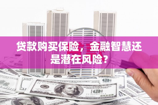 独山贷款购买保险，金融智慧还是潜在风险？
