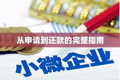 独山从申请到还款的完整指南