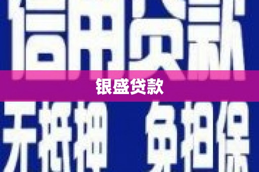 独山银盛贷款