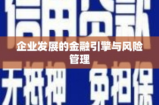 独山企业发展的金融引擎与风险管理