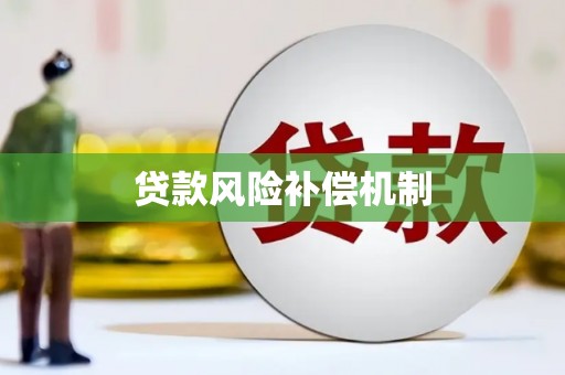 独山贷款风险补偿机制