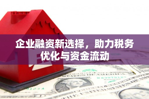 独山企业融资新选择，助力税务优化与资金流动