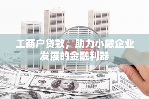独山工商户贷款，助力小微企业发展的金融利器