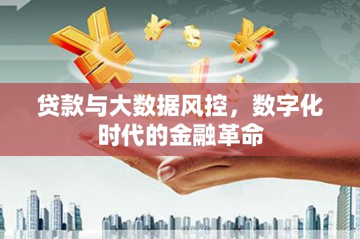 独山贷款与大数据风控，数字化时代的金融革命