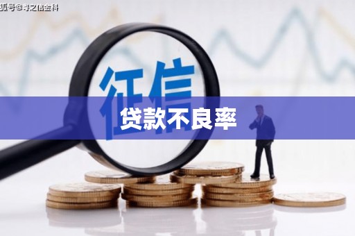 独山贷款不良率