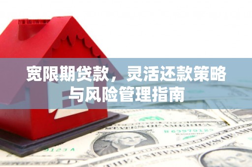 独山宽限期贷款，灵活还款策略与风险管理指南