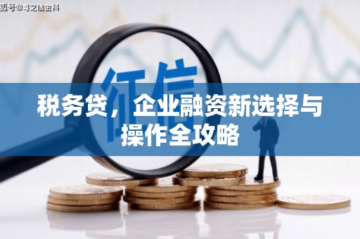 独山税务贷，企业融资新选择与操作全攻略