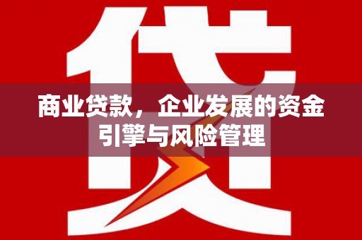 独山商业贷款，企业发展的资金引擎与风险管理