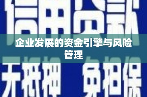 独山企业发展的资金引擎与风险管理