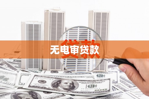 独山无电审贷款