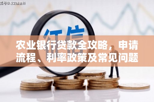 独山农业银行贷款全攻略，申请流程、利率政策及常见问题解析
