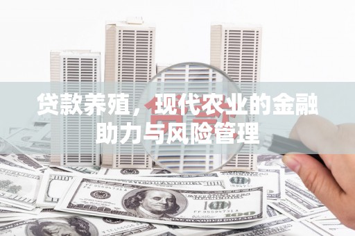 独山贷款养殖，现代农业的金融助力与风险管理
