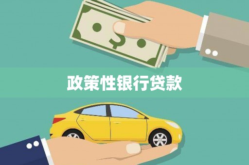 独山政策性银行贷款