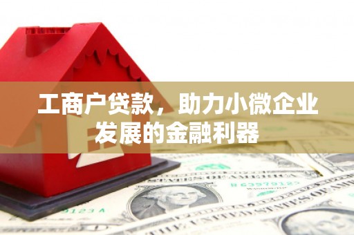 独山工商户贷款，助力小微企业发展的金融利器