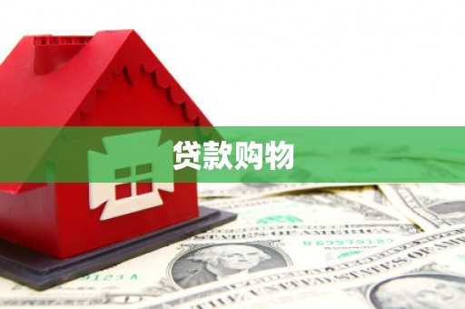 独山贷款购物