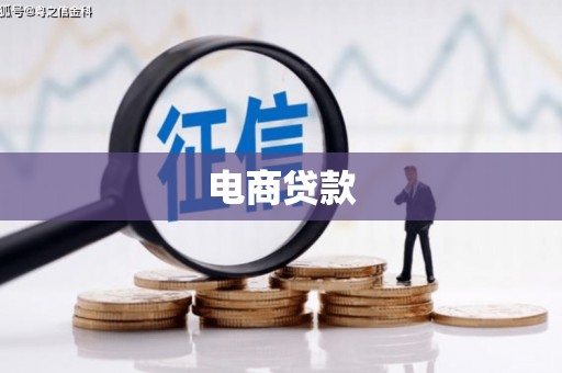独山电商贷款