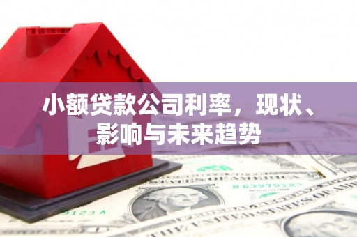 独山小额贷款公司利率，现状、影响与未来趋势