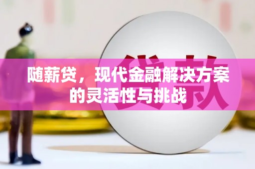独山随薪贷，现代金融解决方案的灵活性与挑战