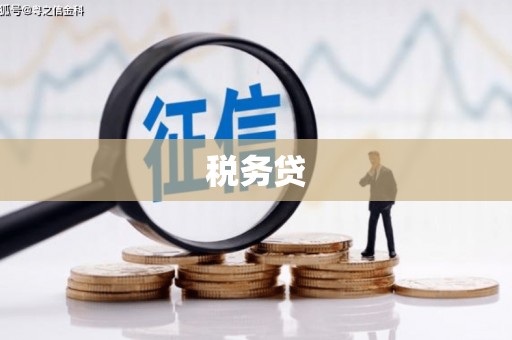 独山税务贷