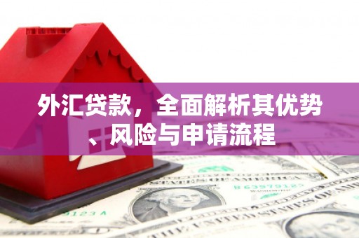 独山外汇贷款，全面解析其优势、风险与申请流程