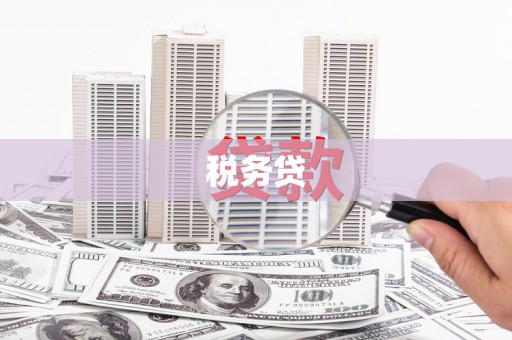 独山税务贷