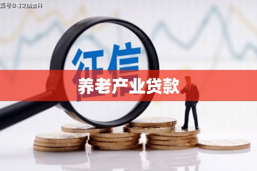 独山养老产业贷款