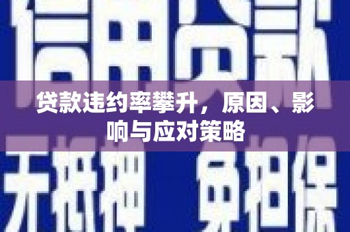独山贷款违约率攀升，原因、影响与应对策略