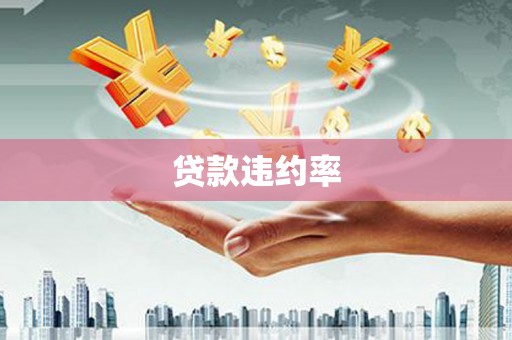 独山贷款违约率