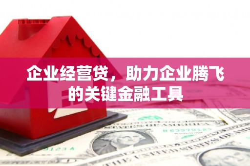 独山企业经营贷，助力企业腾飞的关键金融工具