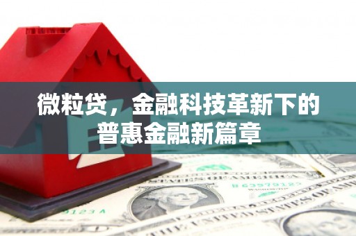 独山微粒贷，金融科技革新下的普惠金融新篇章