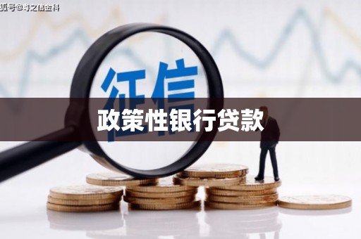 独山政策性银行贷款