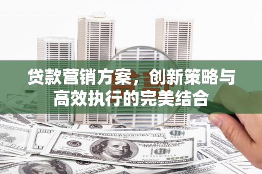 独山贷款营销方案，创新策略与高效执行的完美结合