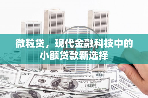 独山微粒贷，现代金融科技中的小额贷款新选择