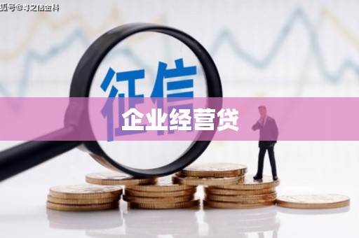 独山企业经营贷