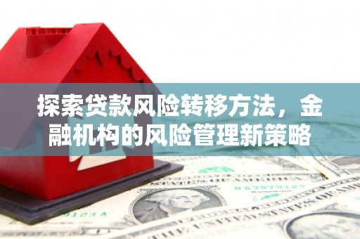 独山探索贷款风险转移方法，金融机构的风险管理新策略