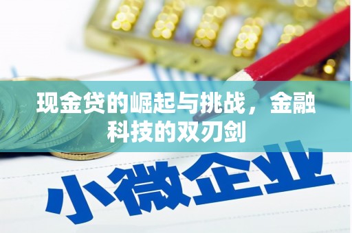 独山现金贷的崛起与挑战，金融科技的双刃剑