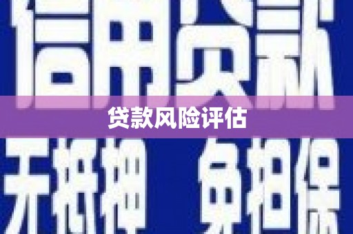 独山贷款风险评估