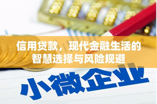 独山信用贷款，现代金融生活的智慧选择与风险规避