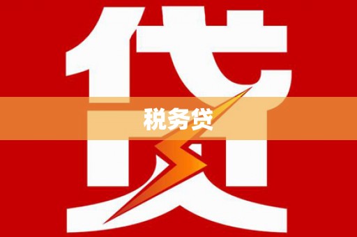 独山税务贷