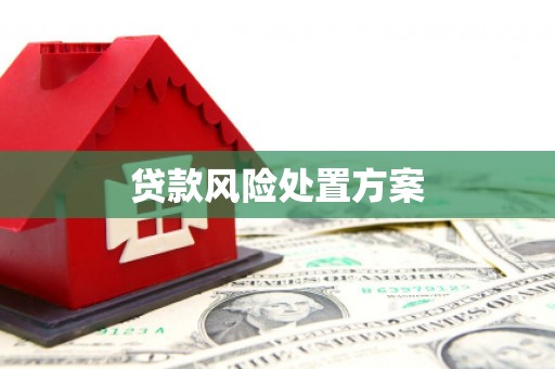 独山贷款风险处置方案