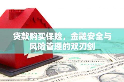 独山贷款购买保险，金融安全与风险管理的双刃剑