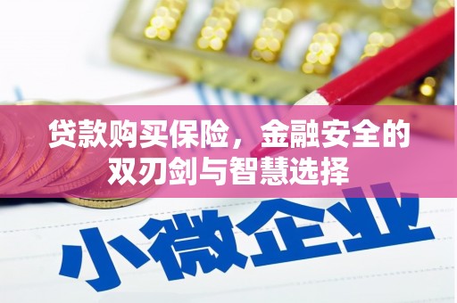 独山贷款购买保险，金融安全的双刃剑与智慧选择
