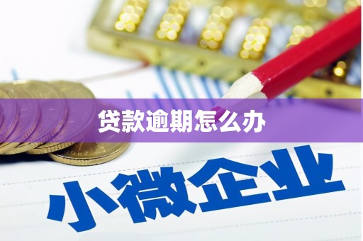 独山贷款逾期怎么办