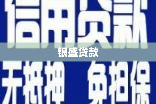 独山银盛贷款
