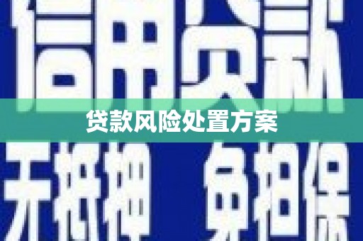 独山贷款风险处置方案