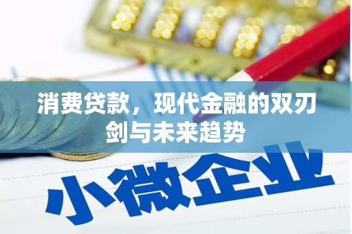 独山消费贷款，现代金融的双刃剑与未来趋势