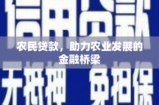 独山农民贷款，助力农业发展的金融桥梁