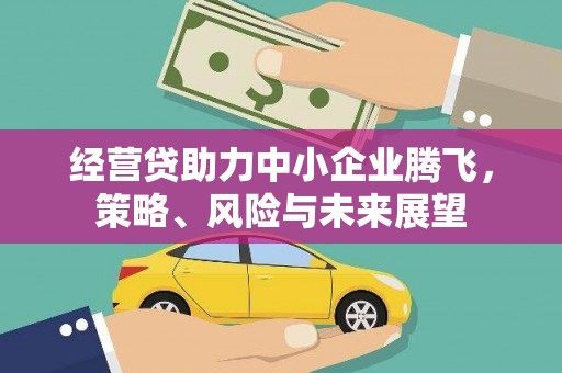 独山经营贷助力中小企业腾飞，策略、风险与未来展望