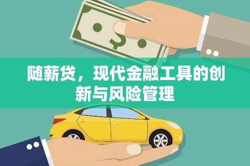 独山随薪贷，现代金融工具的创新与风险管理