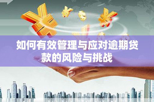 独山如何有效管理与应对逾期贷款的风险与挑战